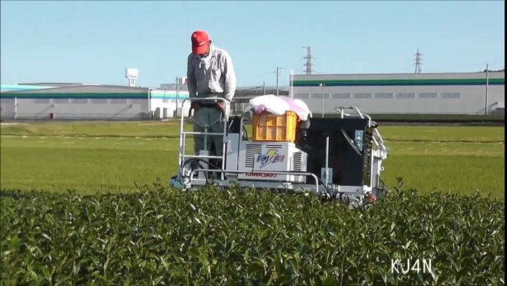 お茶用収穫機 - KJ4N - Kawasaki kiko co.,ltd. - 自走式 / 1列