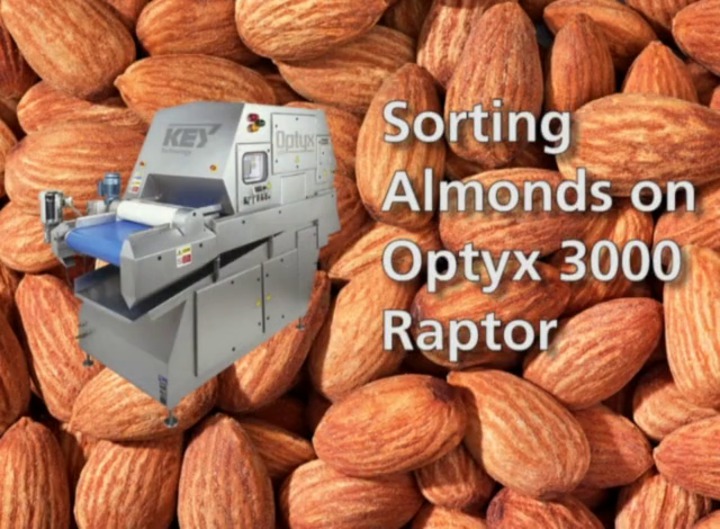 Optical sorter Optyx® Key Technologies