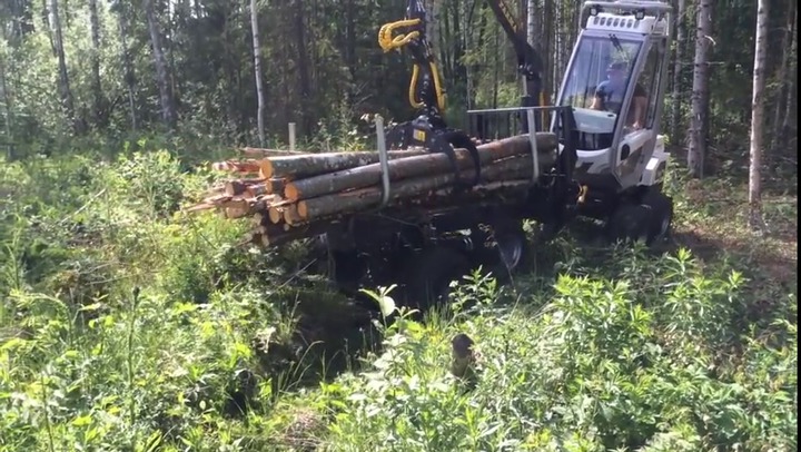 Rubber-tired forestry harvester - Forest Master Turb - Usewood Forest Tec  Oy - with crane