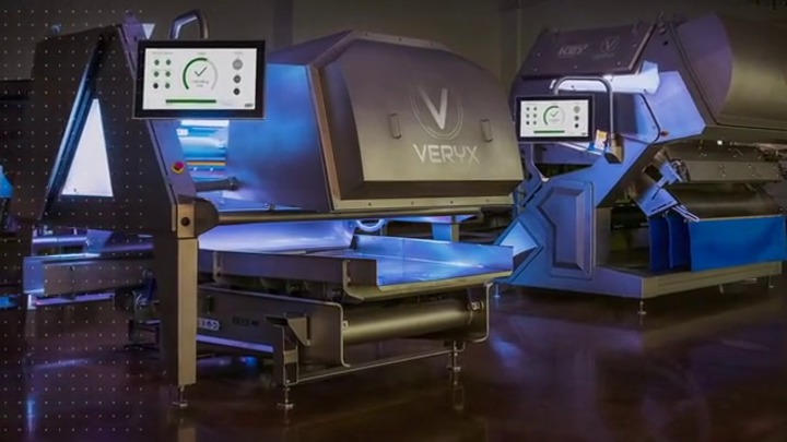 Nuts sorter VERYX® BioPrint® Key Technologies almond color