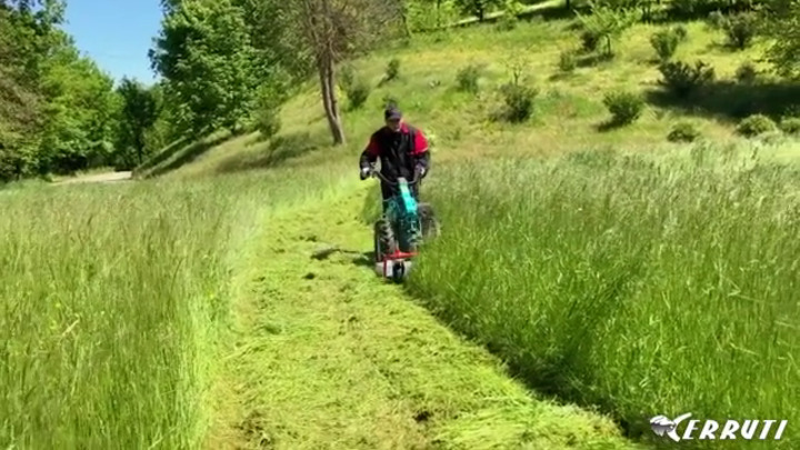 Push lawn-mower TS SERIES CERRUTI front PTO