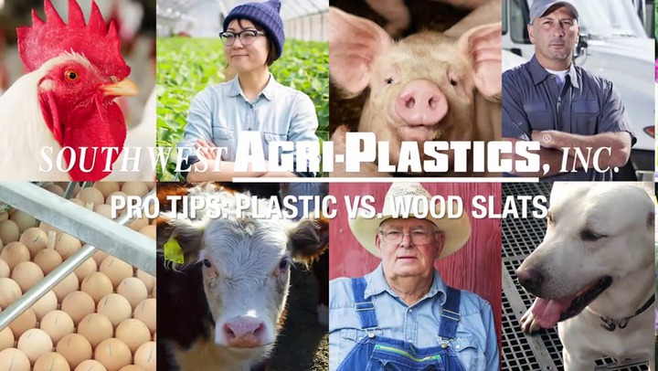 Plastic slatted floor DURA-SLAT series Southwest Agri-Plastics